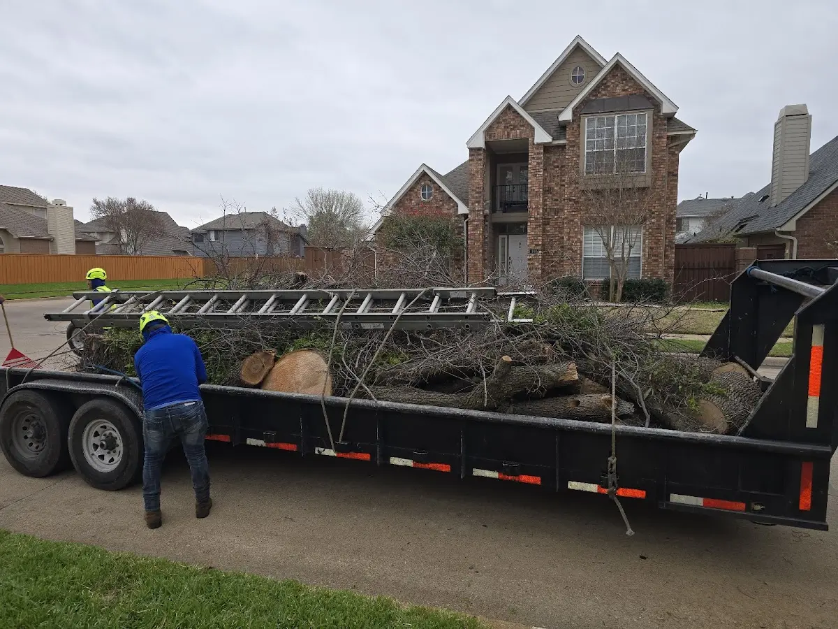 Expert Lot Clearing with proper safety equipment in South Branch